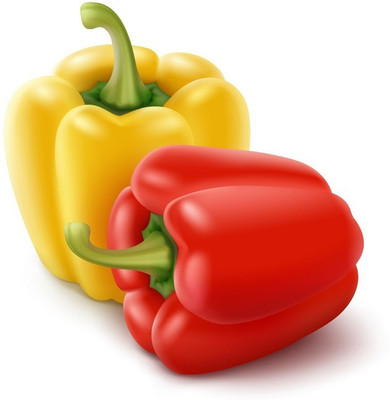 DIVINE CAPSICUM Seed(20 per packet)