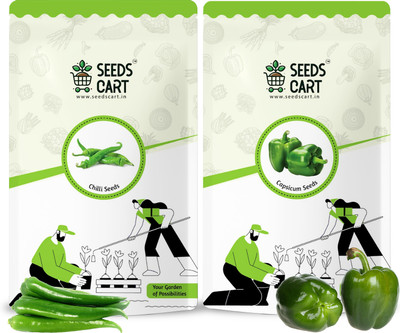 SeedsCart Chilli (Mirch), Capsicum (Shimla Mirch) Seed(260 per packet)