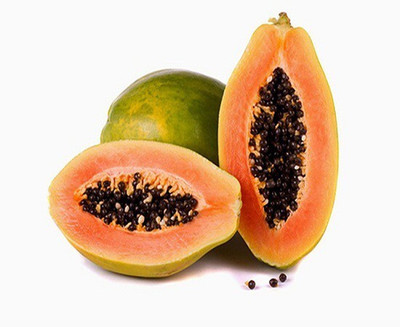 Farmonix Florida Red Royale Papaya Seeds Seed(80 per packet)