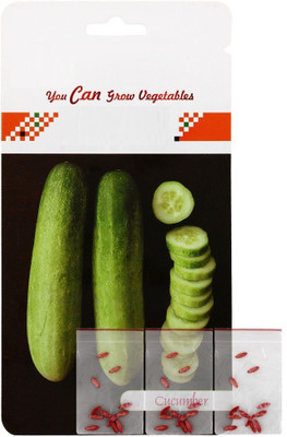 CYBEXIS Cucumber Hybrid Seeds500 Seeds Seed(500 per packet)