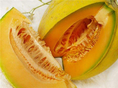 VibeX LX-47 - Sweet Orange Flesh Muskmelon - (1350 Seeds) Seed(1350 per packet)