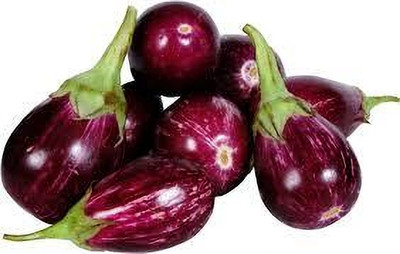 ARYAN EVERGREEN Brinjal seeds Seed(40 per packet)