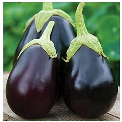 LPR BAGAN Seed(50 per packet)