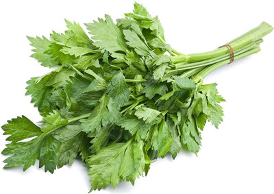 CYBEXIS Celery Leaf Vegetable Seeds2800 Seeds Seed(2800 per packet)