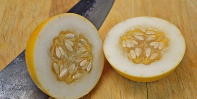 WILLVINE GBPUT-453 Vine Peach Yellow Musk Melon Seeds Seed(200 per packet)