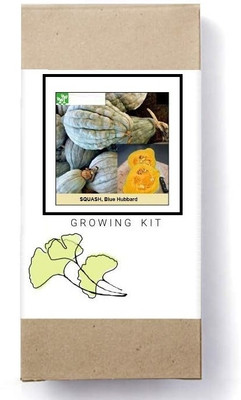 Biosnyg Blue Hubbard Squash-[50 Seeds] Seed(50 per packet)