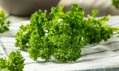 SOWCAN Parsley curled leave Seed(100 per packet)