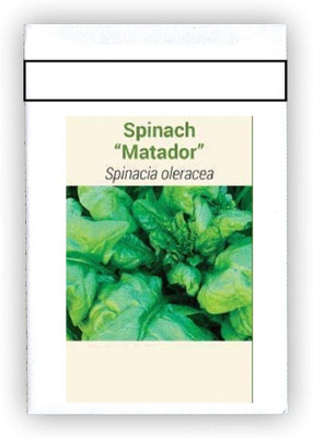 CYBEXIS F1 Hybrid Matadoor Spinach Seeds1000 Seeds Seed(1000 per packet)