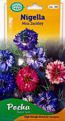 KRASHAK Nigella Miss Jackley Mixed Color flower Seed Seed(2 per packet)