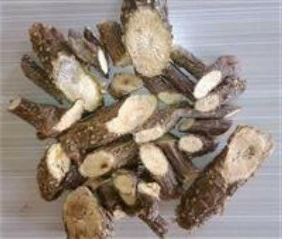 Urancia Natural Giloy Guduchi Amrit Tinospora Cordifolia root 250gm Seed(1 per packet)