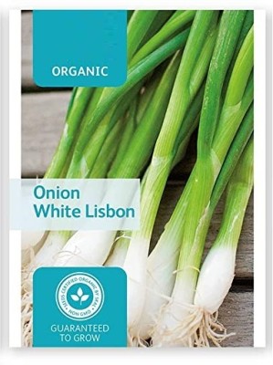 Qualtivate PUA-9A Scallion Onion Seed(300 per packet)