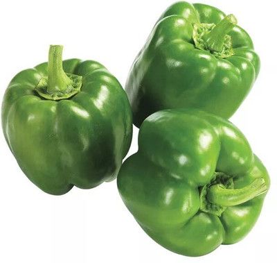 Quentova Capsicum Green Pepper-4A-VII Seed(100 per packet)