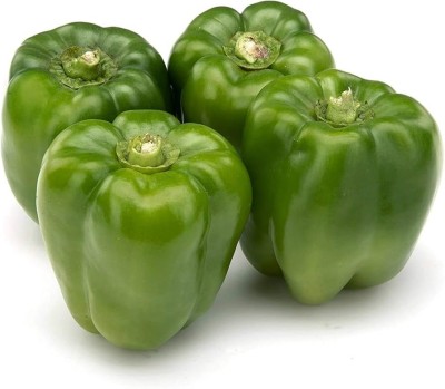 BJUBAS Capsicum Seeds For Farming pack of 39 Seed(39 per packet)