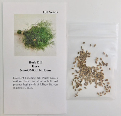 CYBEXIS LXI-5 - Dill Mammoth Long Island - (250 Seeds) Seed(250 per packet)