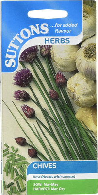 Qualtivate GBPT-8A Common Chives Herb Seeds Seed(300 per packet)