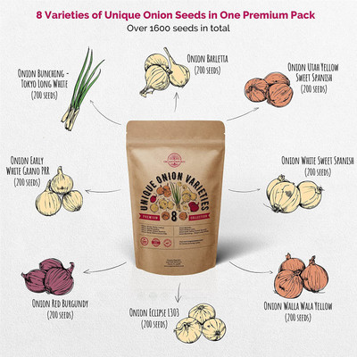 CYBEXIS XL-97 - 8 Types Onion Variety Pack Combo - (1500 Seeds) Seed(1500 per packet)
