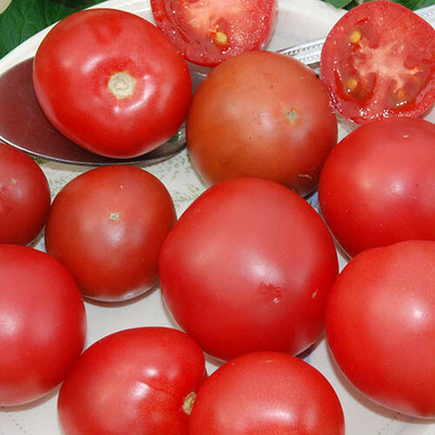 VRAKSHA TOMATO BRANDYSWEET PLUM Seed(1500 per packet)