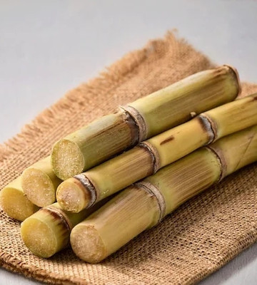 CLICK KART Sugercane, Ganna Seed(12 per packet)