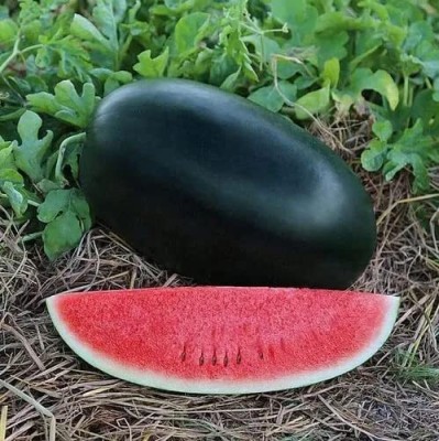 Aywal Watermelon Seed(275 per packet)
