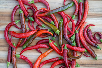 Qualtivate HYB-9A Cayenne Chilli Pepper Seed(300 per packet)