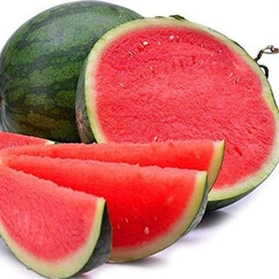 CYBEXIS Seedless Watermelon Seeds400 Seeds Seed(400 per packet)