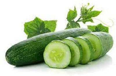 TRICONE Rajni Cucumber Kheera Seeds 320 Beej F30 Seed(320 per packet)