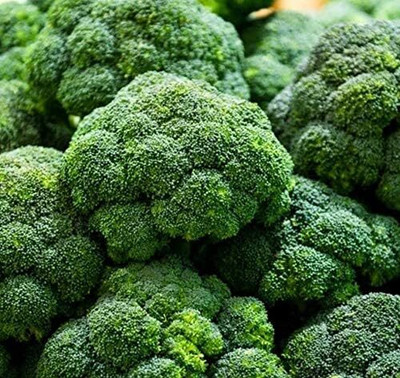 Qualtivate HYB-4A Broccoli Calabrese Heirloom Seeds Seed(300 per packet)