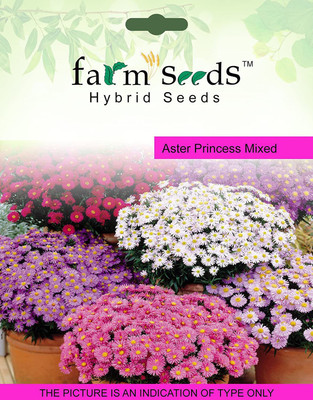 CYBEXIS SEEDS Aster Princess Mixed Seed(50 per packet)