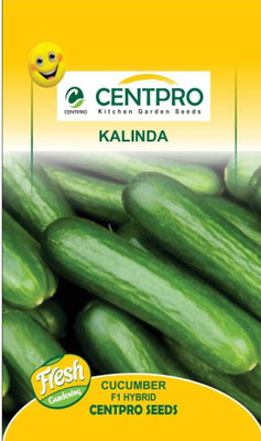 KRASHAK CUCUMBER (KHEERA KAKDI) HYBRID Seed(2 per packet)
