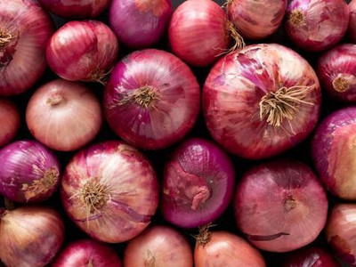 Cloud Farm Onion Seed(250 per packet)