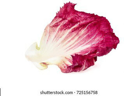 XOLDA Organic red lettuce Seed(27 per packet)