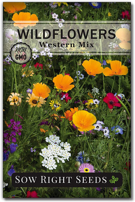 WILLVINE ™ Western Wildflowers Seeds-2000 SEEDS Seed(2000 per packet)