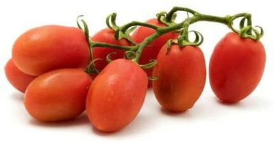 CYBEXIS Tomato Seeds Roma VF 2000 Seeds Seed(2000 per packet)