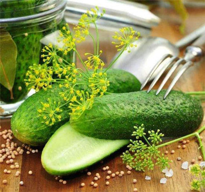 CYBEXIS Hybrid Green Cucumber Seeds Vegetable Garden2000 Seeds Seed(2000 per packet)