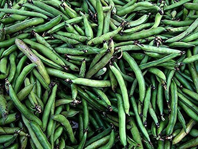 Aywal Bean/Bakla Seed(39 per packet)