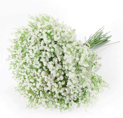 Aywal Gypsophila Gypsy Deep Rose Flower Seed(5 g)