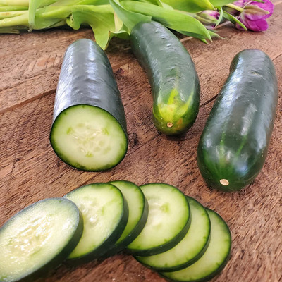 VibeX ® XLR-506 Straight Eight American Cucumber Seeds Seed(200 per packet)