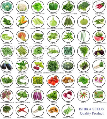 Cloud Farm VEGETABLE SEEDS Seed(3072 per packet)