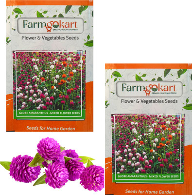 farmgokart |2 Packets of GLOBE AMARANTH MIXED Flower Seeds|Home & Terrace Gardening Seed(100 per packet)