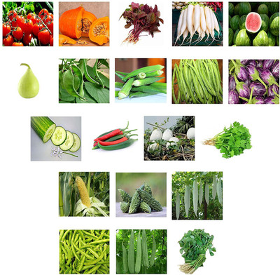 CYBEXIS Vegetable Seeds Combo 20 Varieties Seed(10 g)