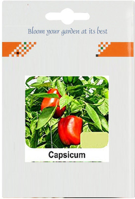 CYBEXIS Capsicum2400 Seeds Seed(2400 per packet)