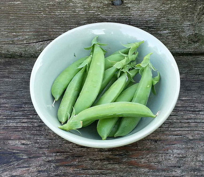 VibeX ® XXL-538 Pea Seed, Sugar Snap Pea Seed(50 per packet)