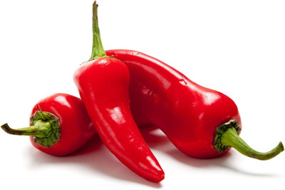 KNESSiN High Germination Super Fresno Hot Chilli Seeds for Home Gardening-(1200 Seeds) Seed(1200 per packet)