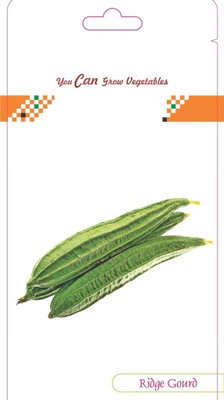 CYBEXIS Ridge Gourd Hybrid800 Seeds Seed(800 per packet)