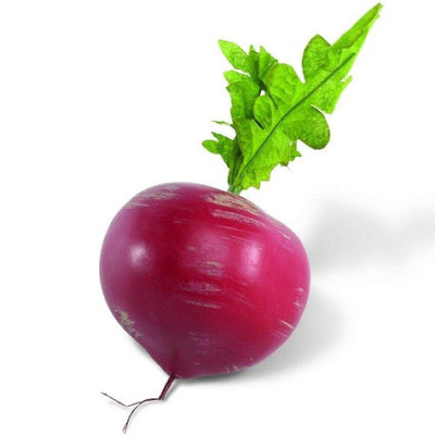 CRGO TURNIP , SHALGAM Seed(70 per packet)