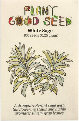 Qualtivate HUA-4A White Sage Seed(100 per packet)