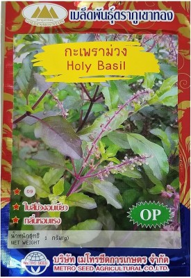 Qualtivate NDIR-103 Thai Purple Holy Basil Seeds Seed(1000 per packet)