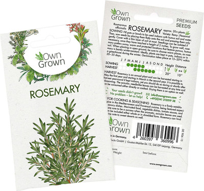 CYBEXIS Rosemary Seed(400 per packet)