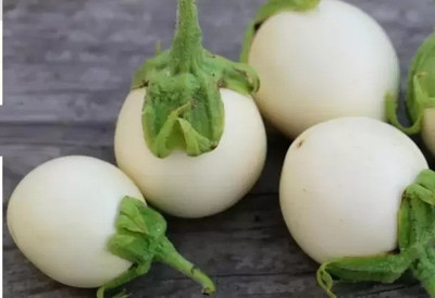 Aro Brinjal white round, Eggplant Seed(24 per packet)