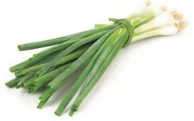 KANAYA Leek / Green Spring Onio+AN+AN5:AN150 Seed(90 per packet)